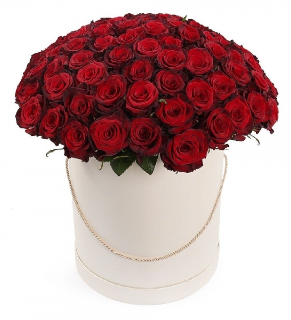 manavgat kutuda 51 kırmızı güller side lüks çiçek hediye dev gül buketi